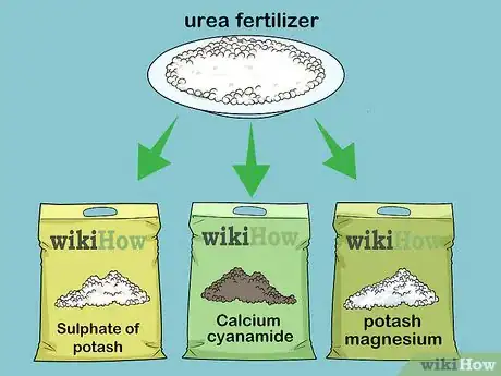 Image titled Apply Urea Fertilizer Step 10