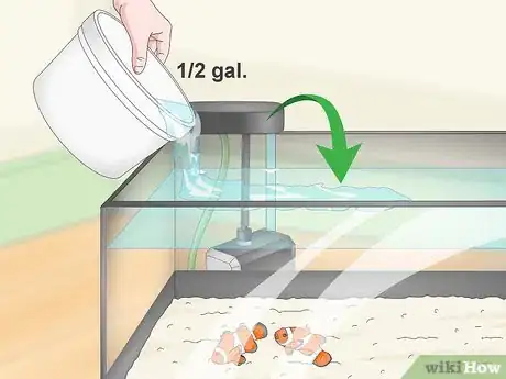 Image titled Raise the Salinity in a Reef Tank Step 11