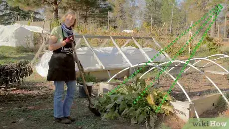 Image titled Grow Horseradish Step 5