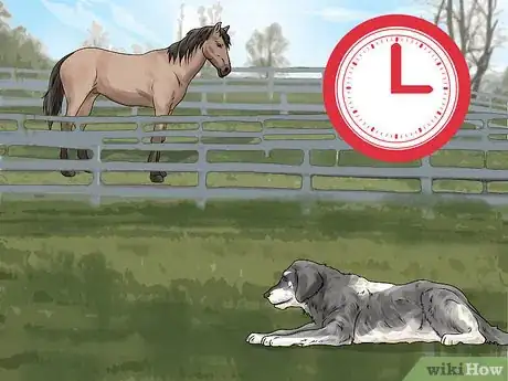 Image titled Keep a Dog from Chasing Horses Step 10