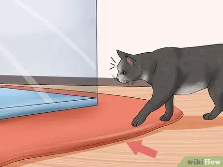 Image titled Keep Fish when You Have Cats That Like to Hunt Step 7