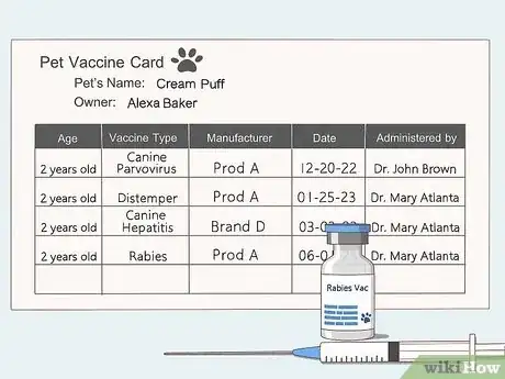 Image titled Perform Pre‐Breeding Health Checks for Dogs Step 4