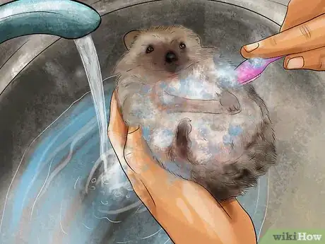 Image titled Bathe a Hedgehog Step 7