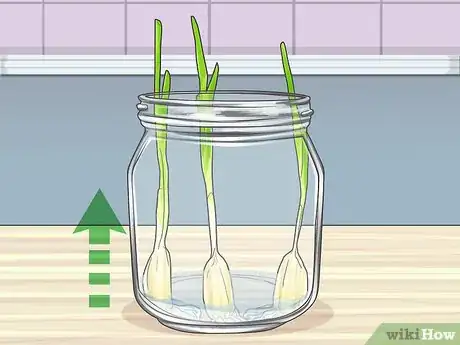 Image titled Grow Garlic in Water Step 6