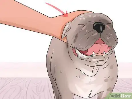 Image titled Save a Choking Dog Step 10