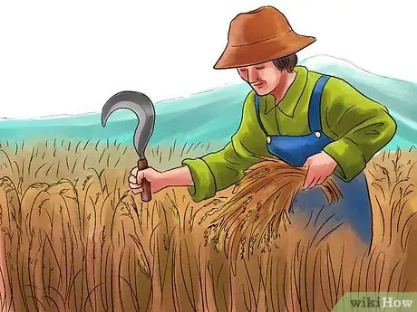 Image titled Grow Rice Step 8