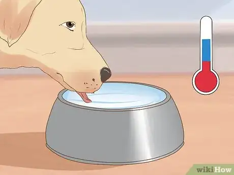 Image titled Encourage a Mother Dog to Feed Her Litter Step 3