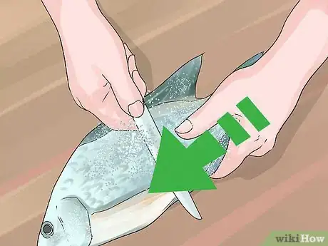 Image titled Farm Tilapia Step 19