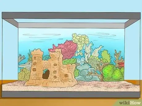 Image titled Make Aquarium Setups Stand Out Step 19