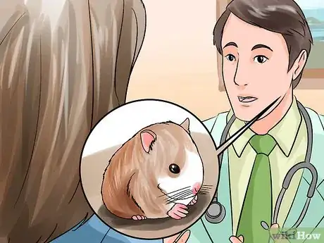 Image titled Groom a Hamster Step 14