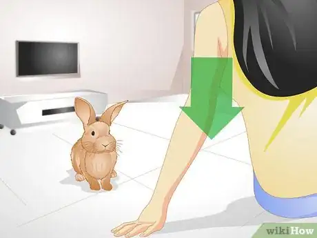 Image titled Tell if Your Rabbit Is Lonely Step 9