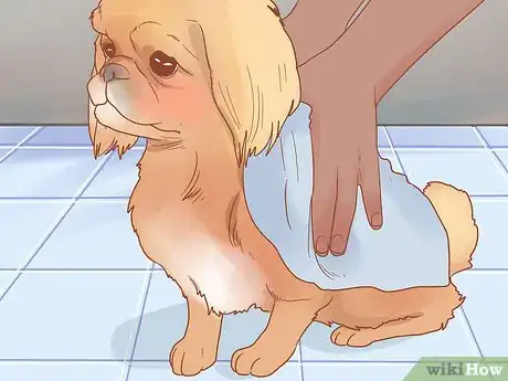 Image titled Groom a Tibetan Spaniel Step 10