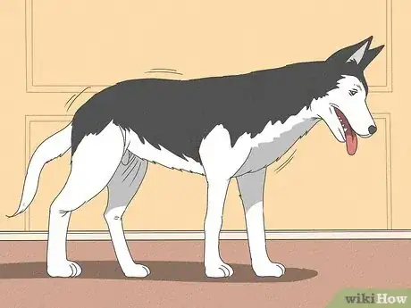 Image titled Know When Your Dog is Sick Step 17