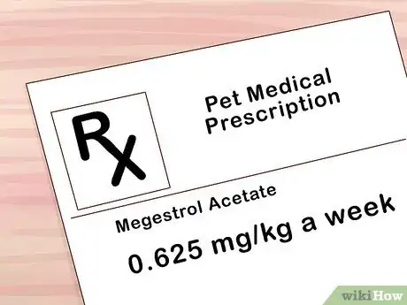 Image titled Control Feline Heat Cycles with Megestrol Acetate Step 4