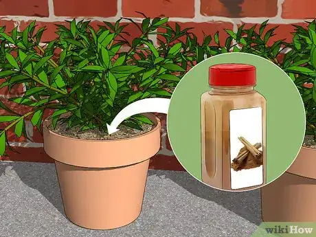 Image titled Get Rid of Fungus Gnats Step 7