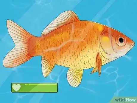 Image titled Choose Fish for a Freshwater Aquarium Step 9