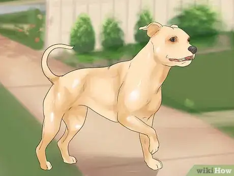 Image titled Help Dogs with Joint Problems and Stiffness Step 5