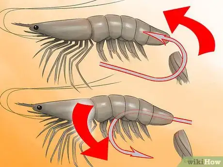 Image titled Hook a Shrimp Step 3