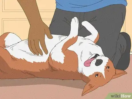 Image titled Tickle a Dog Step 13