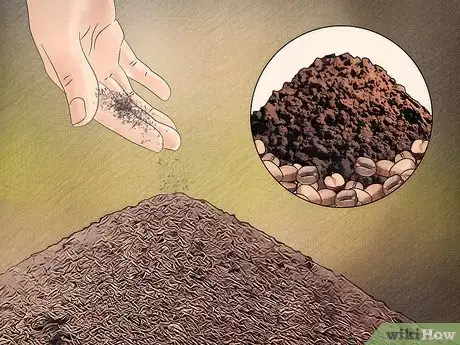 Image titled Get Rid of Ants Naturally Step 13