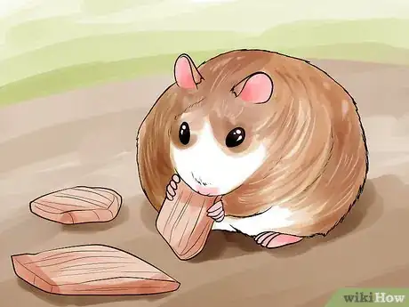 Image titled Groom a Hamster Step 12