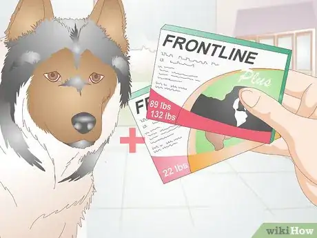 Image titled Determine the Proper Frontline Plus Dosage for Dogs Step 8