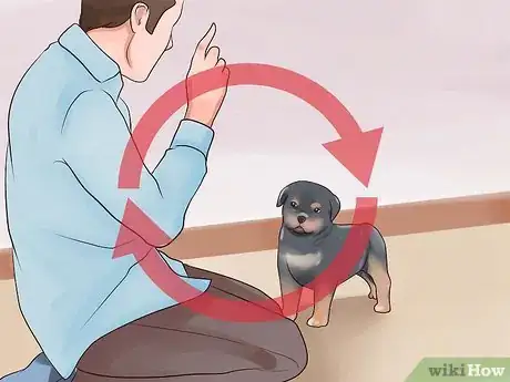 Image titled Train Your Rottweiler Puppy With Simple Commands Step 4