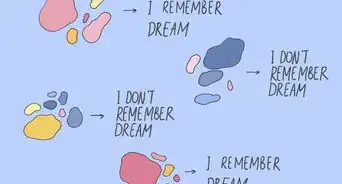 Remember Dreams