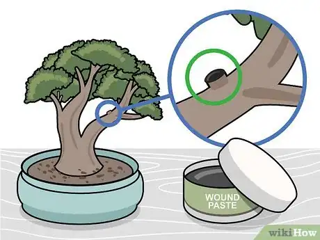 Image titled Prune a Bonsai Tree Step 11