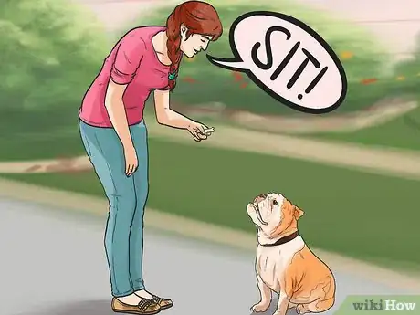 Image titled Train a Bully Breed Dog Step 3