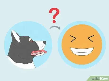 Image titled Make a Dog Laugh Step 10