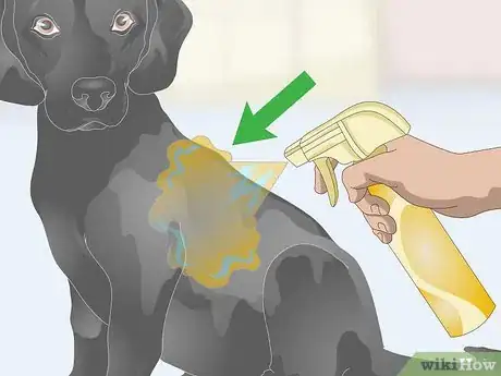 Image titled Treat Dandruff on Your Dog Step 5