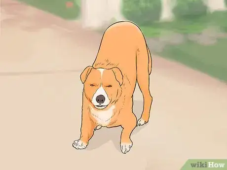 Image titled Tell if a Dog Is Going to Attack Step 9