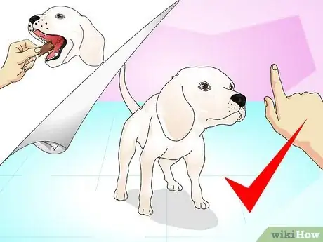 Image titled Teach Your Dog to Do a High Five Step 3