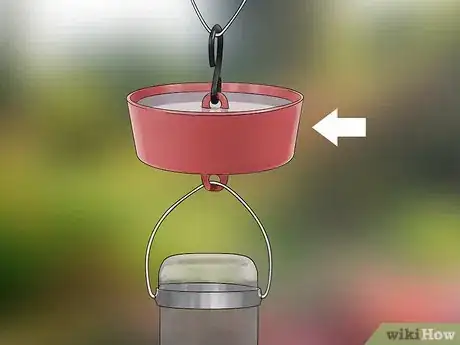 Image titled Keep Ants Off Hummingbird Feeders Step 1