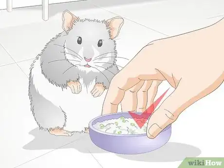 Image titled Treat Cheek Abscesses in Hamsters Step 6