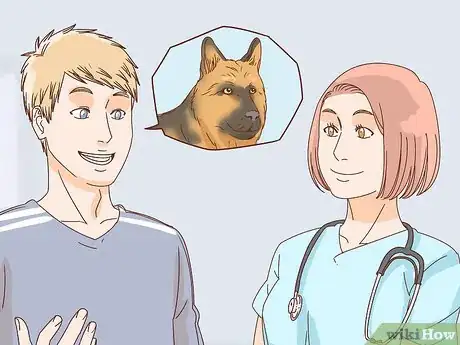 Image titled Identify a German Shepherd Step 8