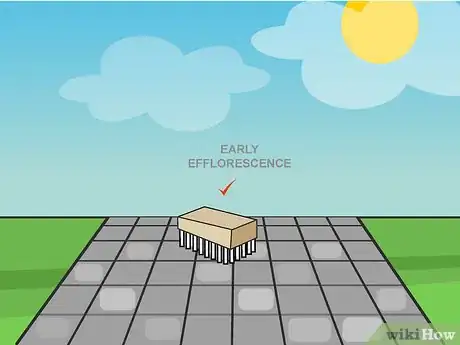 Image titled Remove Efflorescence from Pavers Step 01