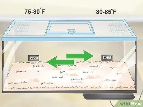 Image titled Create a Corn Snake Vivarium Step 6