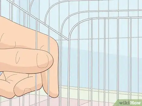 Image titled Choose a Cage for a Budgie Step 4