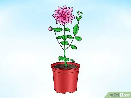 Image titled Store Dahlias over Winter Step 1