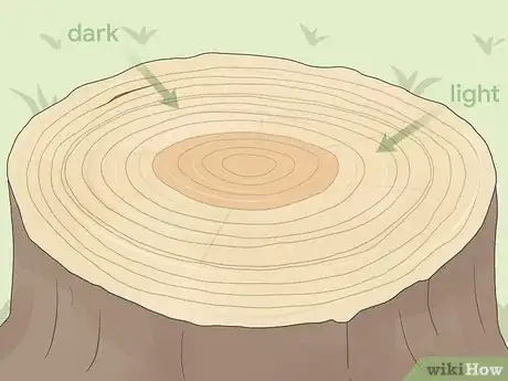 Image titled Count Tree Rings Step 2