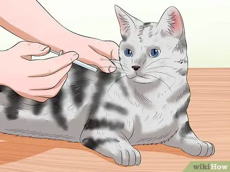 Image titled Treat Feline Panleukopenia (Distemper) Step 15