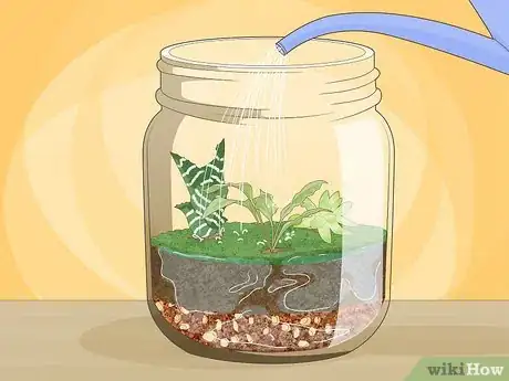 Image titled Grow a Garden in a Bottle Step 13