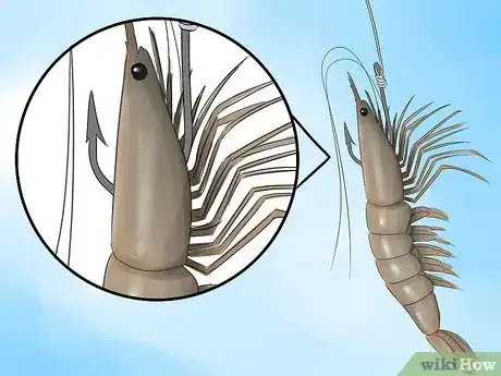 Image titled Hook a Shrimp Step 1