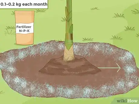 Image titled Grow Banana Plants Step 11