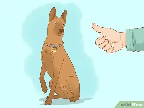 Image titled Stop My Dog from Biting when Excited Step 2