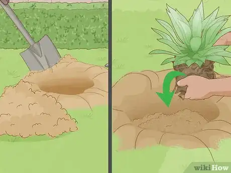 Image titled Plant Succulents Step 9