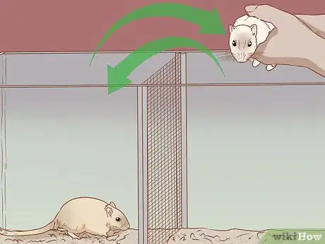 Image titled Split Cage a Gerbil Step 5