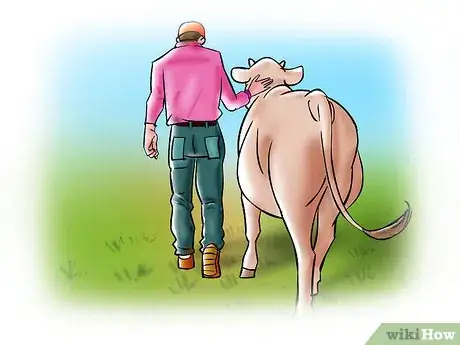 Image titled Artificially Inseminate Cows and Heifers Step 3